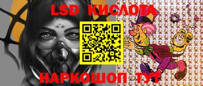 кокс Кингисепп