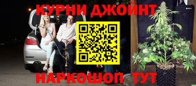 шишки Кандалакша