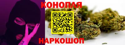 шишки Кандалакша