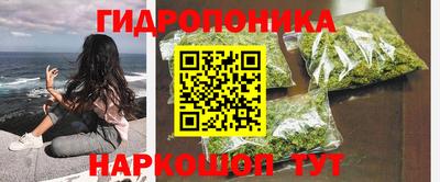 шишки Кандалакша