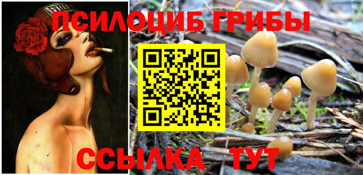 Псилоцибиновые грибы Magic Shrooms Шелехов