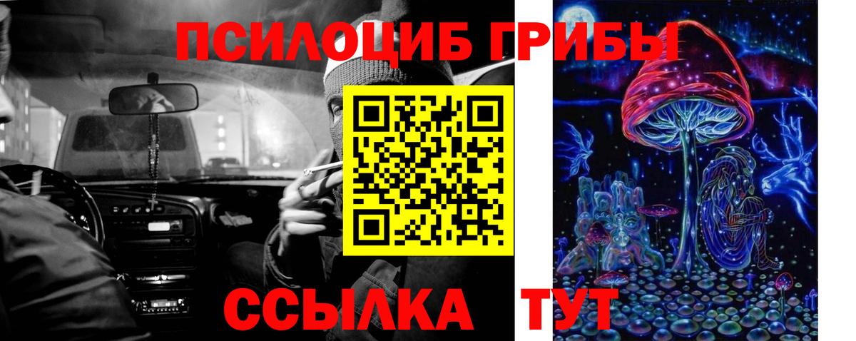 Псилоцибиновые грибы Psilocybine cubensis  Вход с VPN  Псилоцибиновые грибы ЛСД  Шелехов 