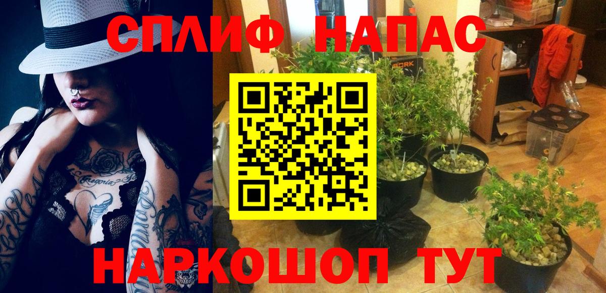 Бошки Шишки марихуана Шелехов